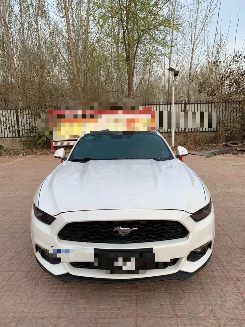 济宁15年福特野马8