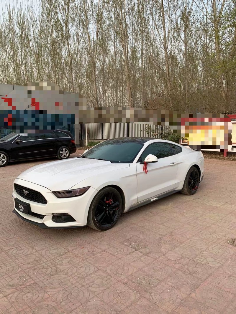 济宁15年福特野马7