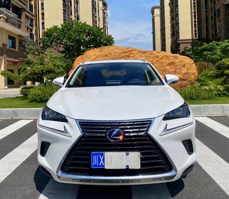 广州21年雷克萨斯NX9