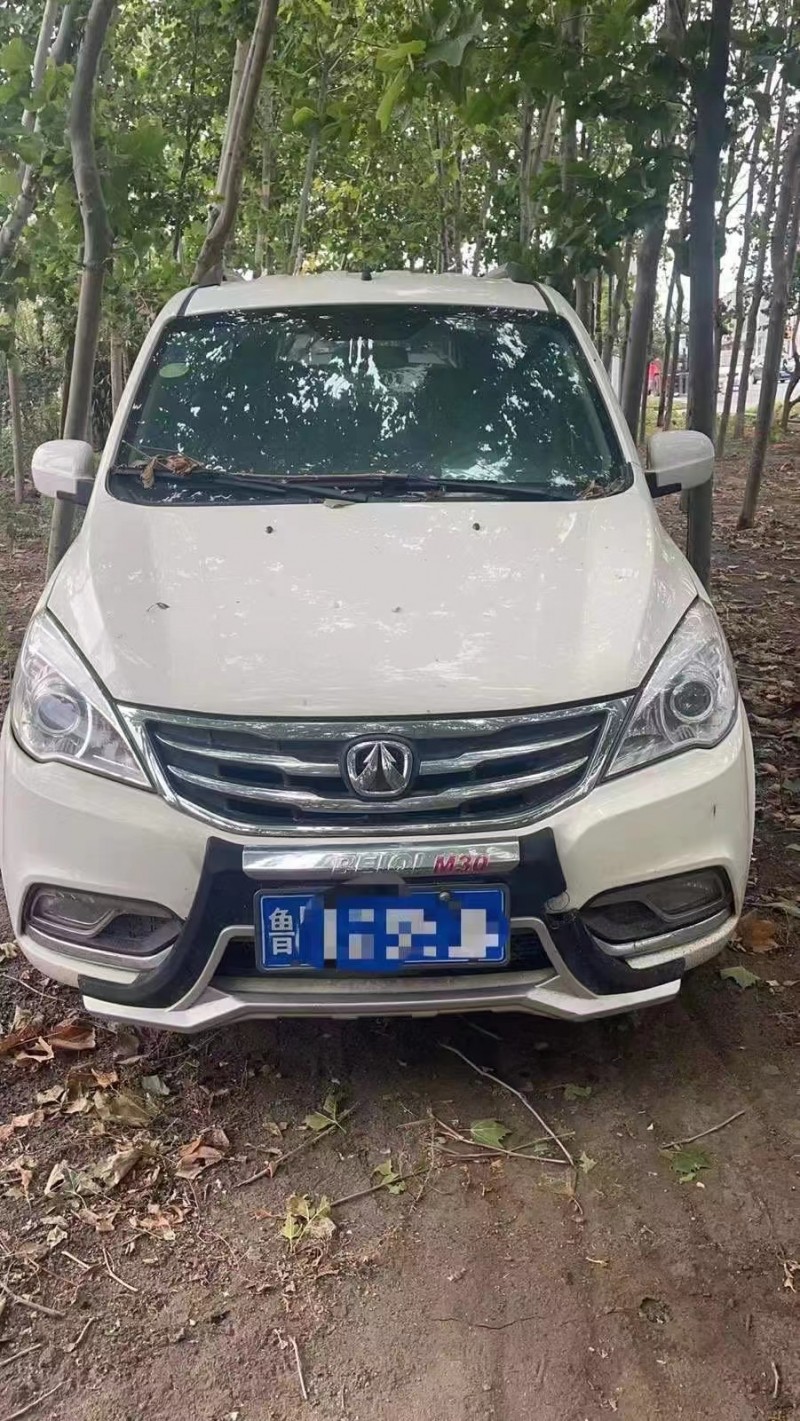 潍坊17年北汽威旺M301