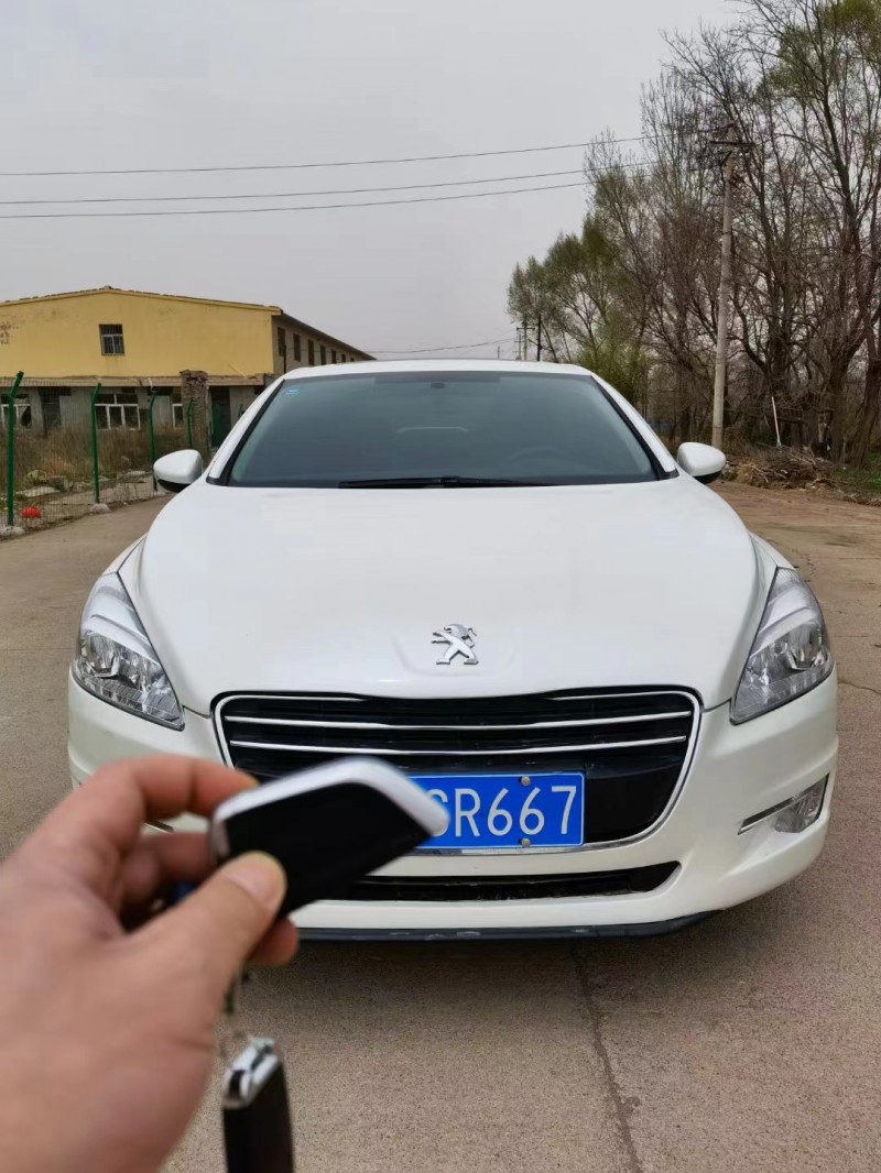 白銀14年標致5081