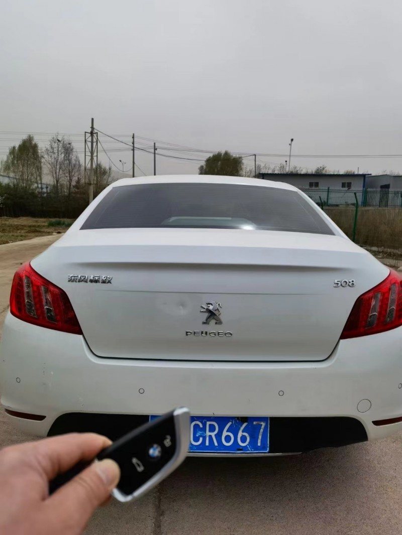 白銀14年標致5088
