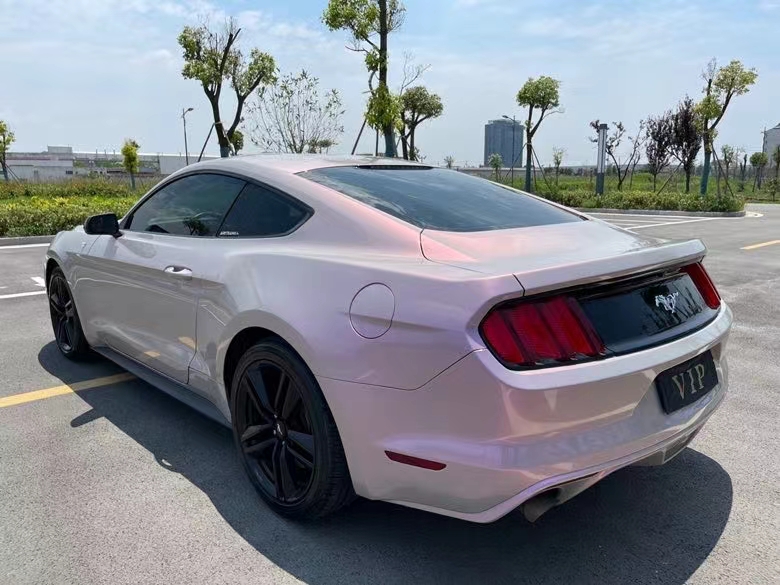 盐城15年福特野马5