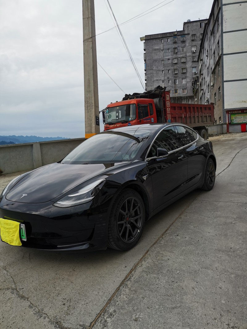 重慶20年特斯拉MODEL 38
