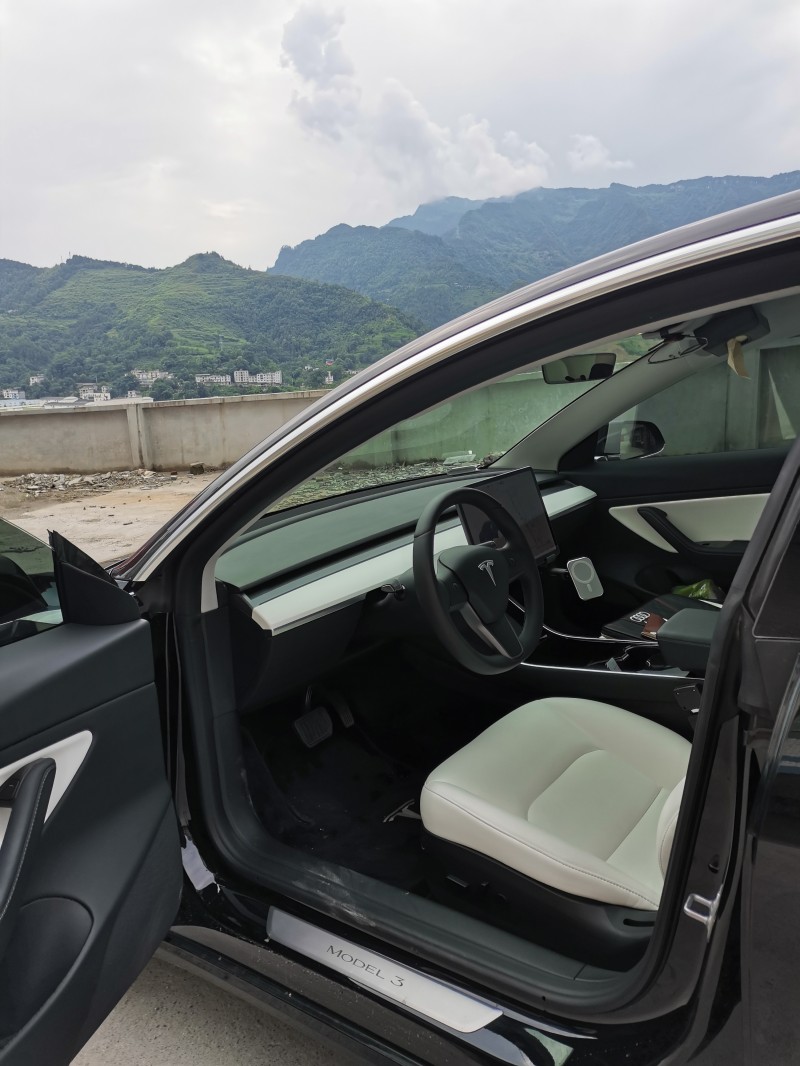 重慶20年特斯拉MODEL 33