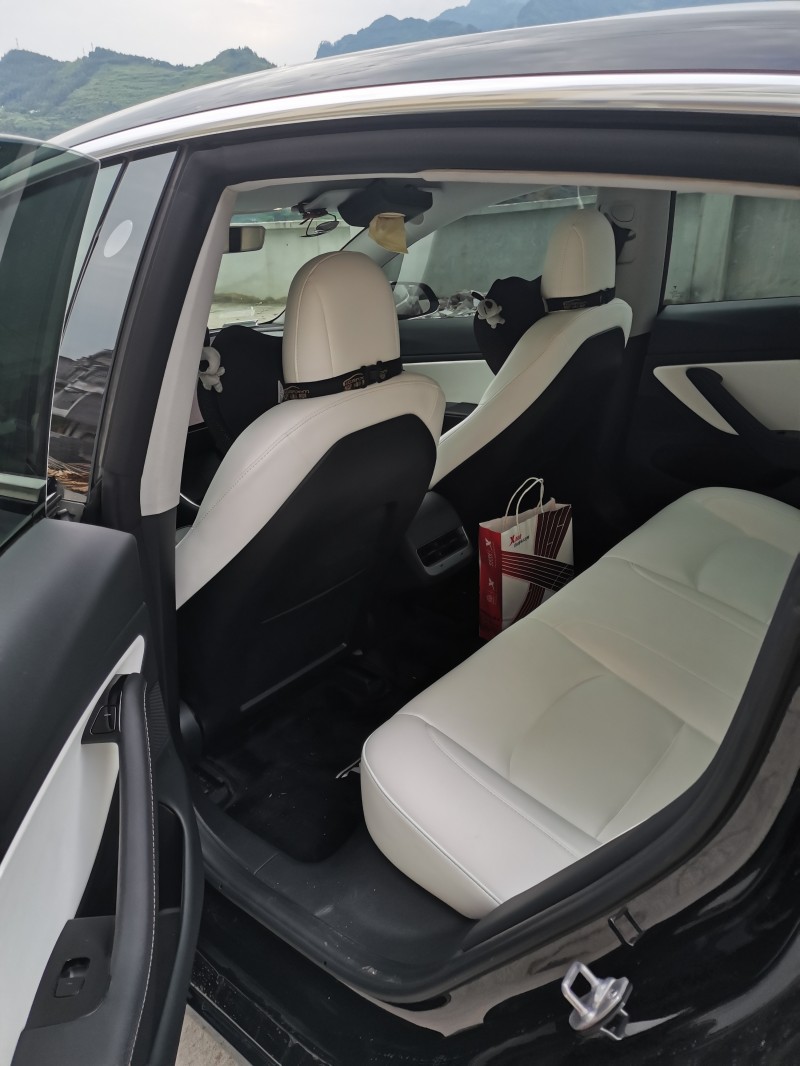 重慶20年特斯拉MODEL 32
