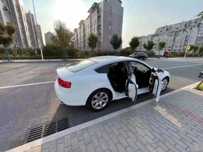 济宁14年奥迪A53