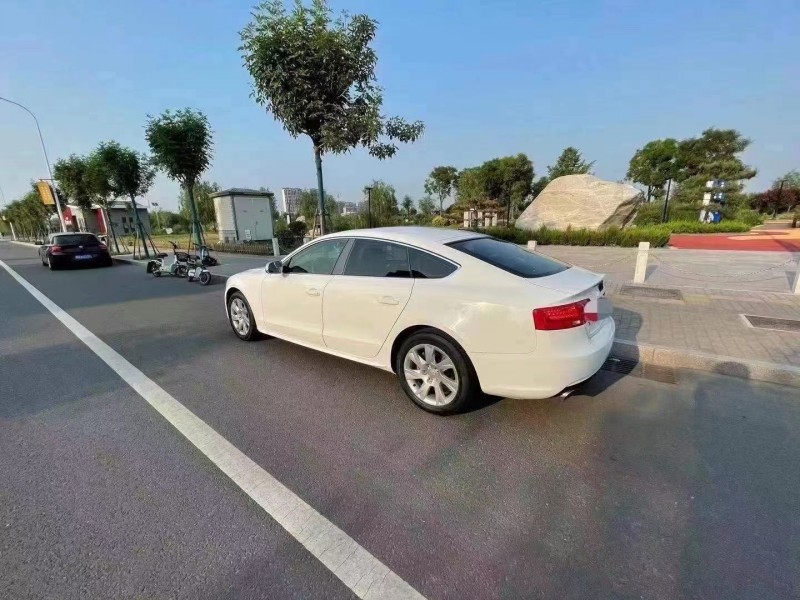 济宁14年奥迪A52