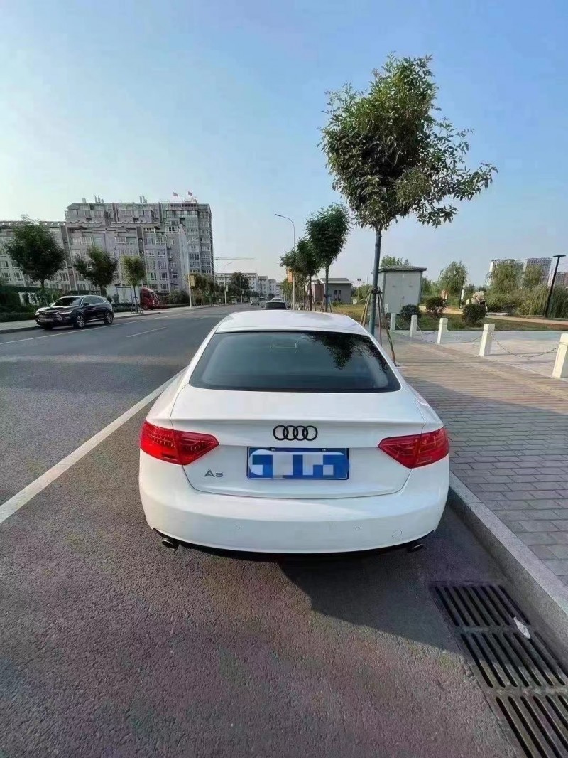 济宁14年奥迪A51