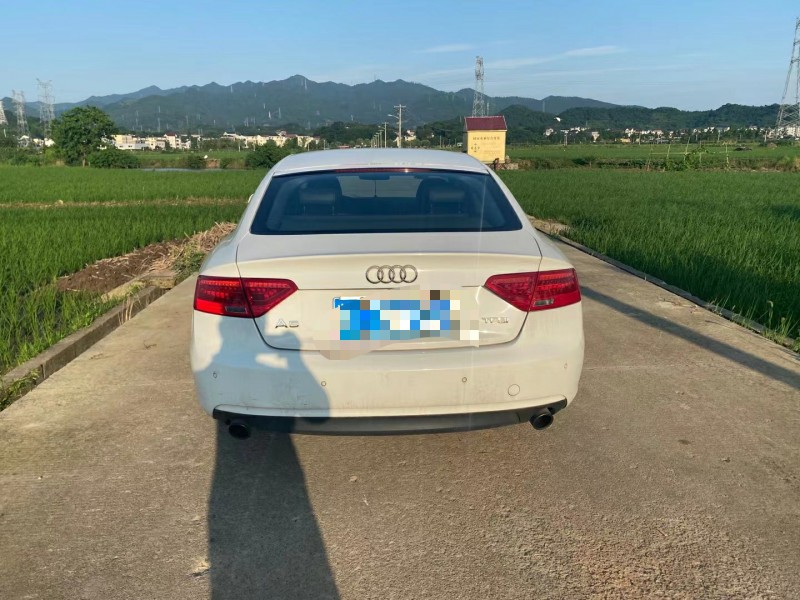金華12年奧迪A58