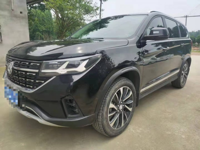 成都19年东风T53