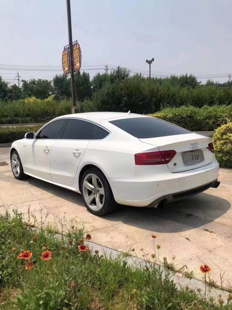 煙臺11年奧迪A51