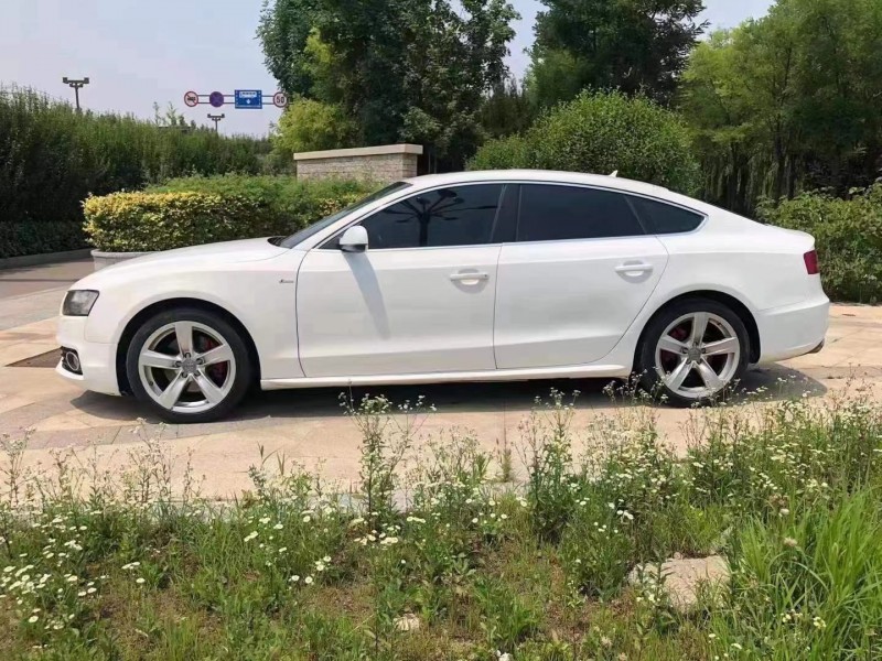 煙臺11年奧迪A59