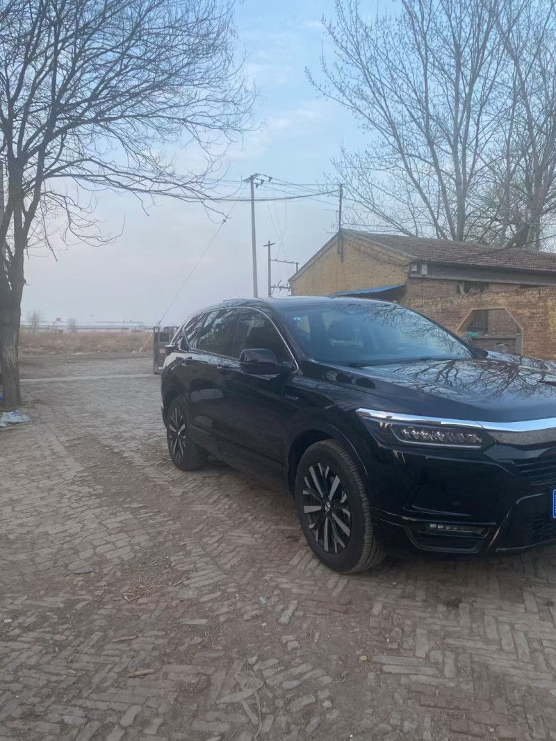 廊坊20年本田皓影3