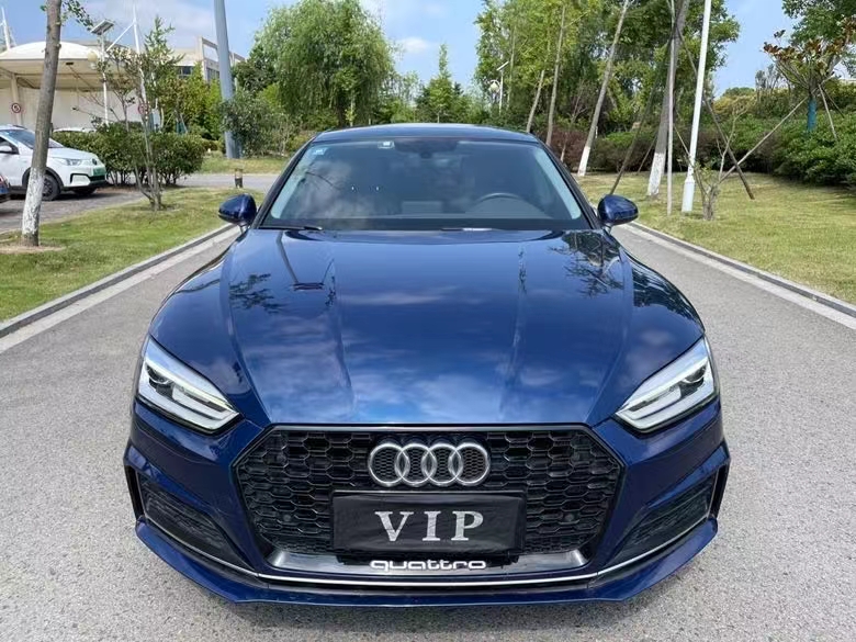 盐城19年奥迪A51