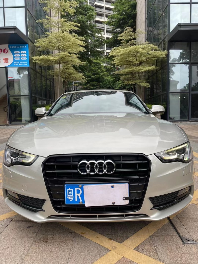 中山13年奥迪A59