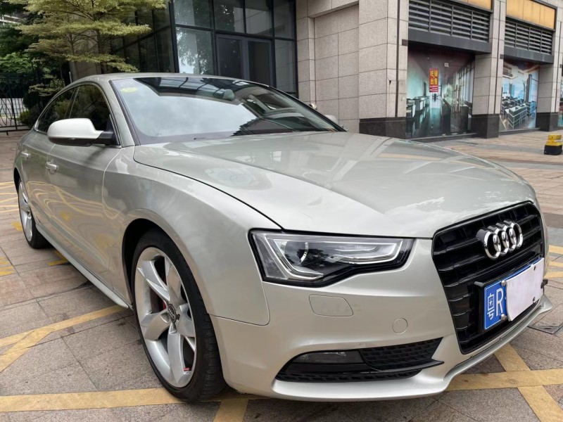 中山13年奥迪A56