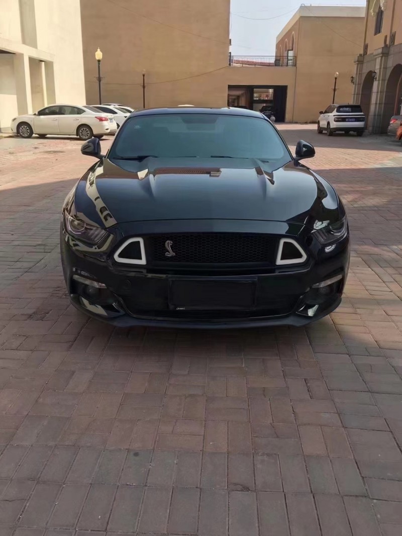 保定17年福特野马1