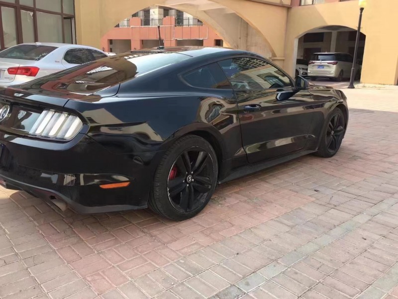 保定17年福特野马7