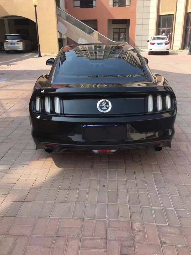 保定17年福特野马9