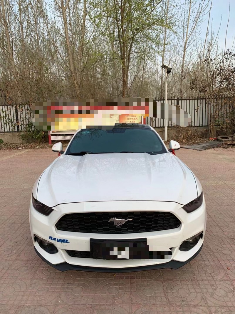 济宁15年福特野马9