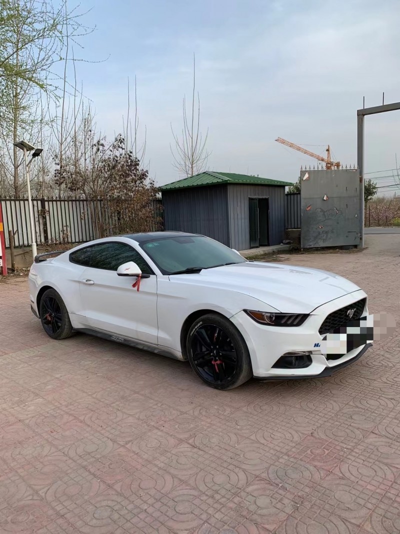 济宁15年福特野马7