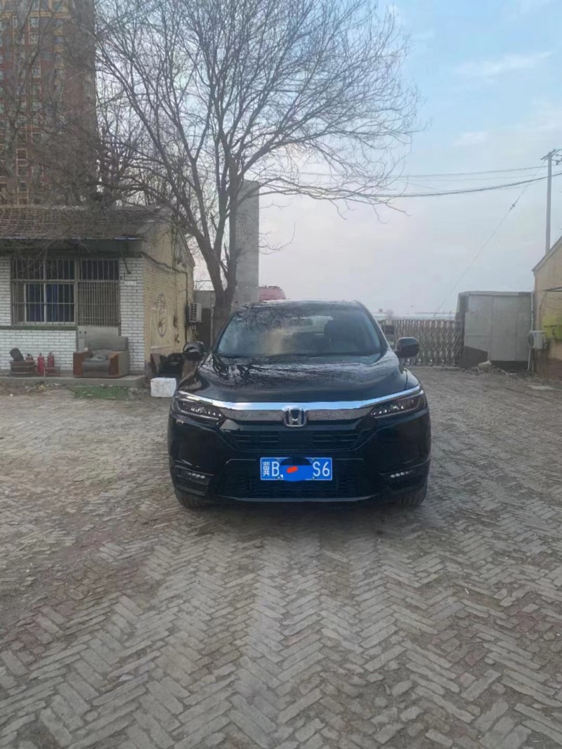 保定20年本田皓影1