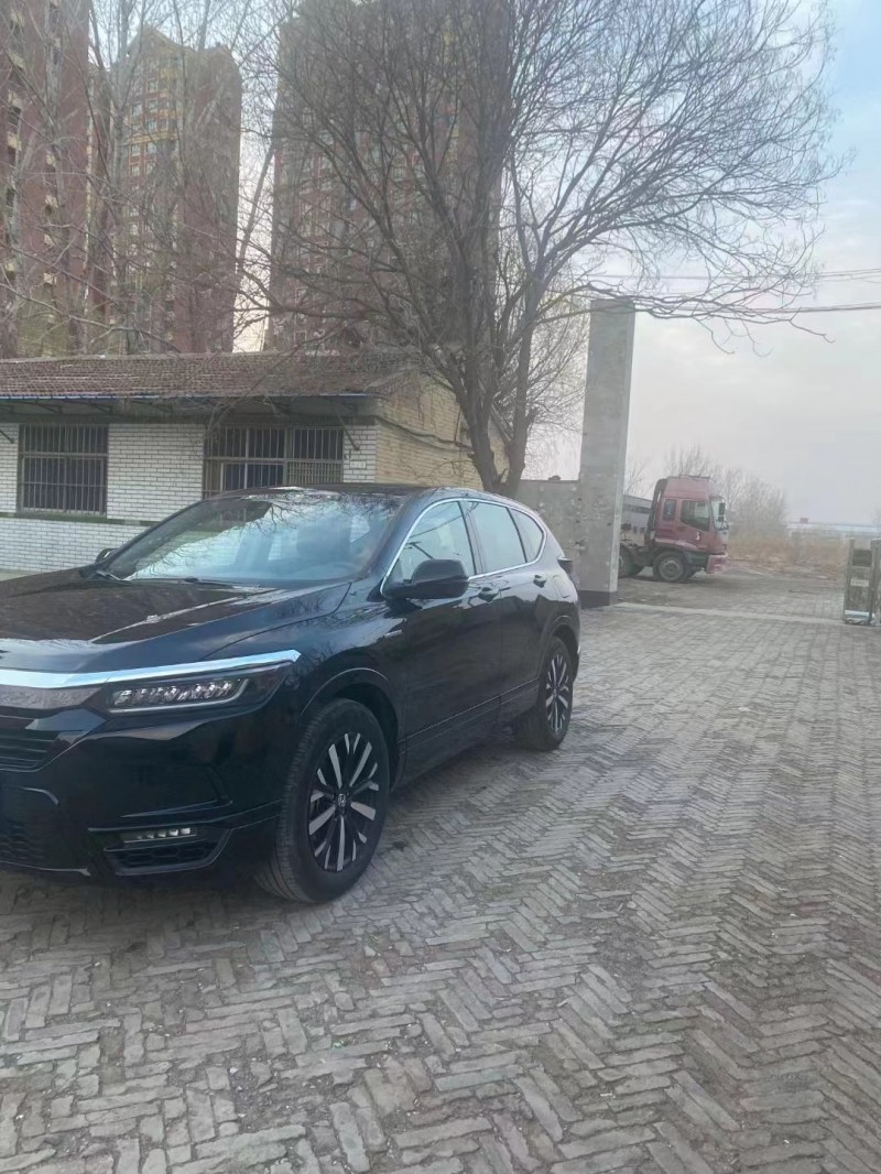 保定20年本田皓影2