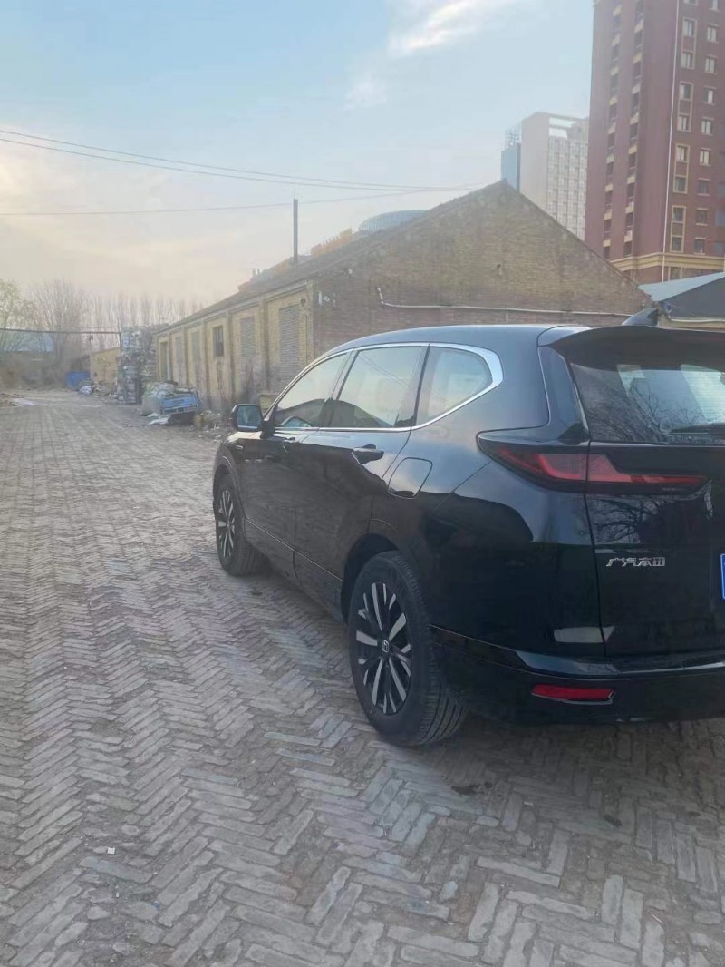 保定20年本田皓影8