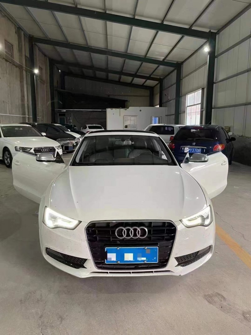 潍坊13年奥迪A51