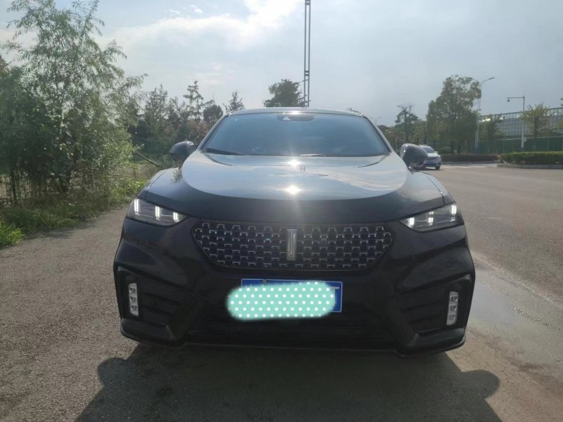 淮南20年長城VV71