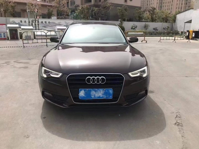 泰州14年奥迪A51