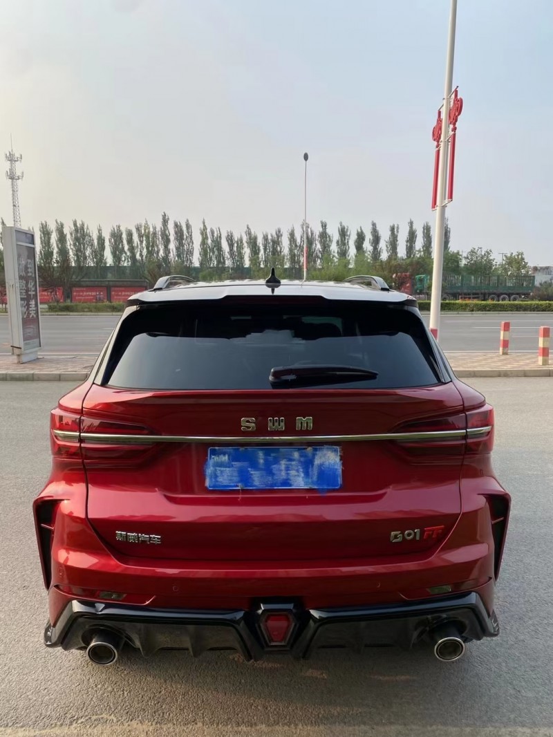 保定20年SWM斯威汽车G018