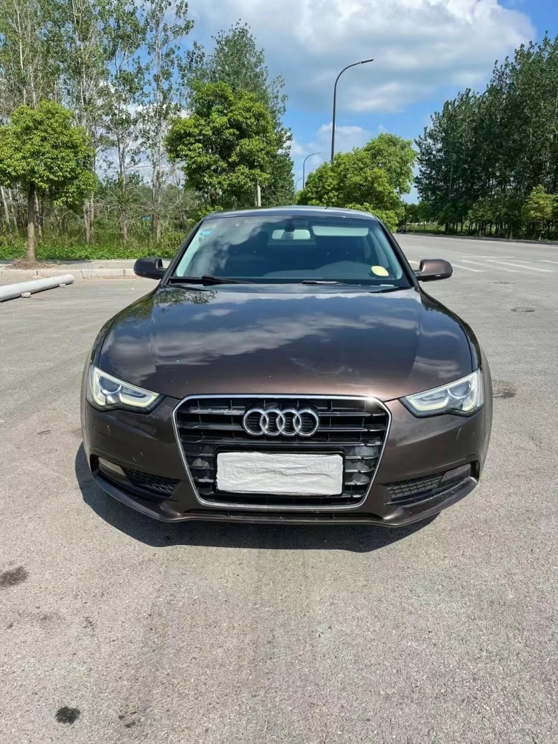 盐城14年奥迪A51