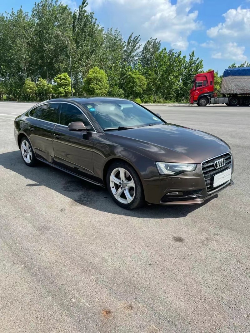 盐城14年奥迪A52