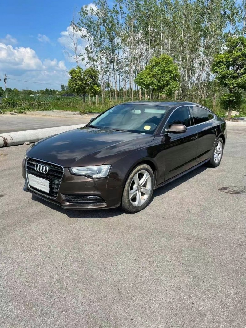 盐城14年奥迪A53