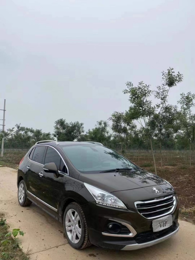 保定13年标致30083