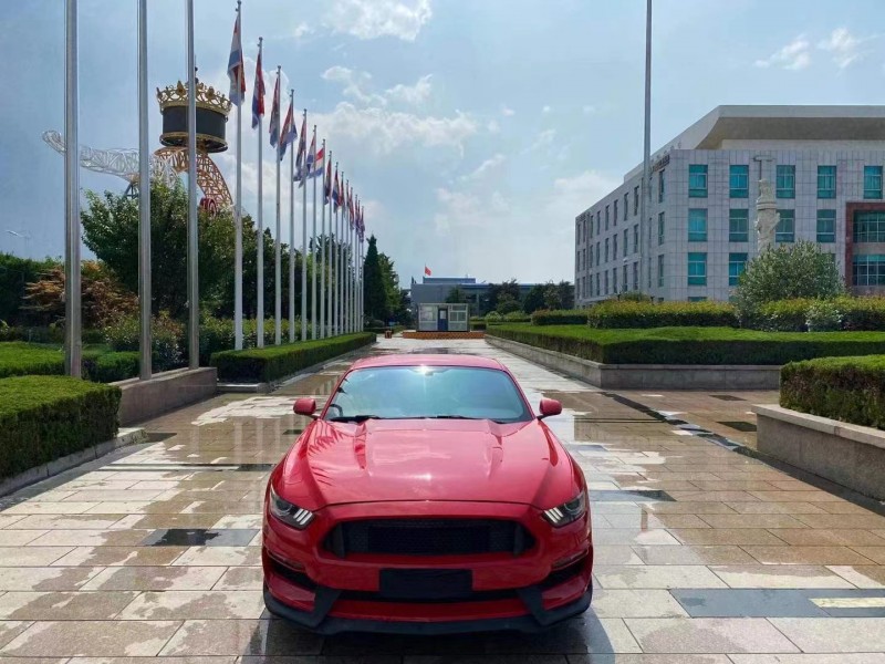 济宁16年福特野马1