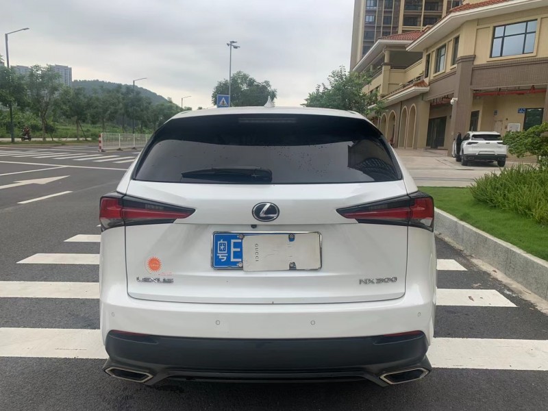 广州19年雷克萨斯NX8