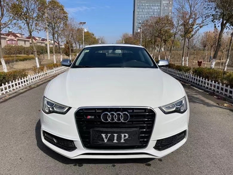 盐城12年奥迪A51