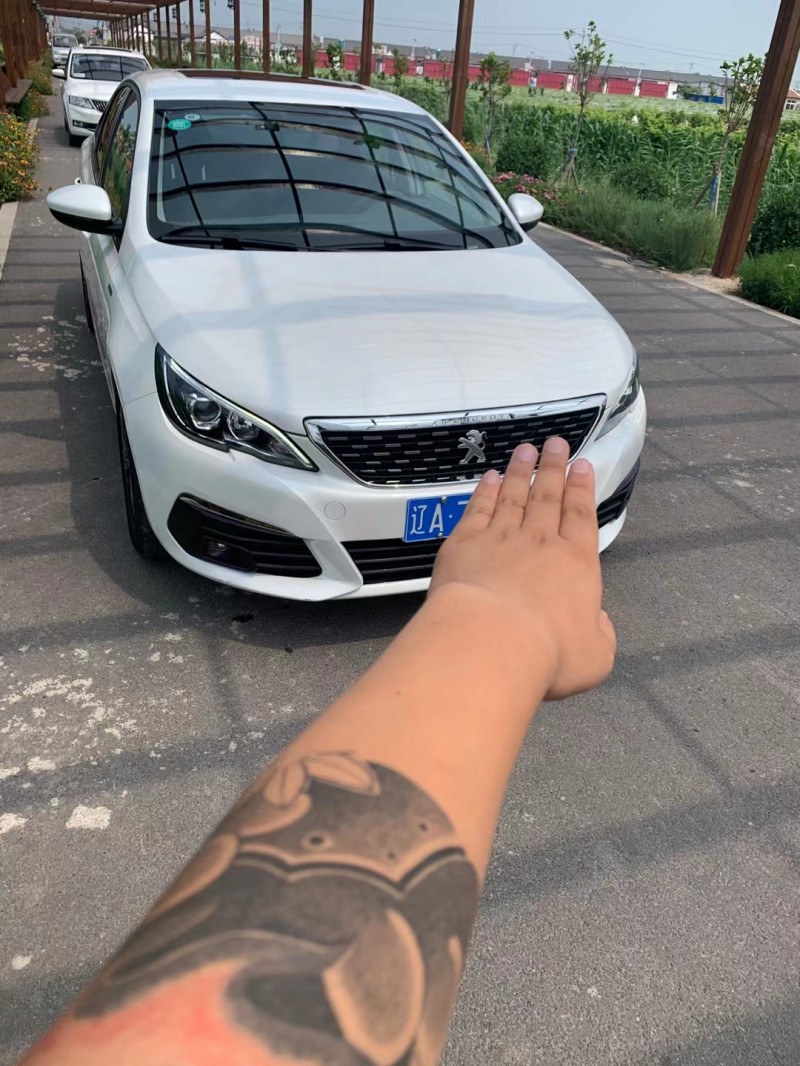 天津20年標致3083