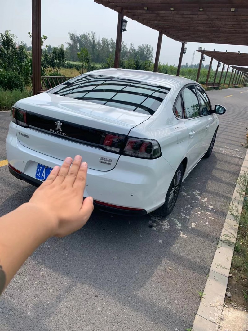 天津20年標致3084