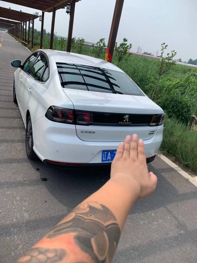 天津20年標致3085