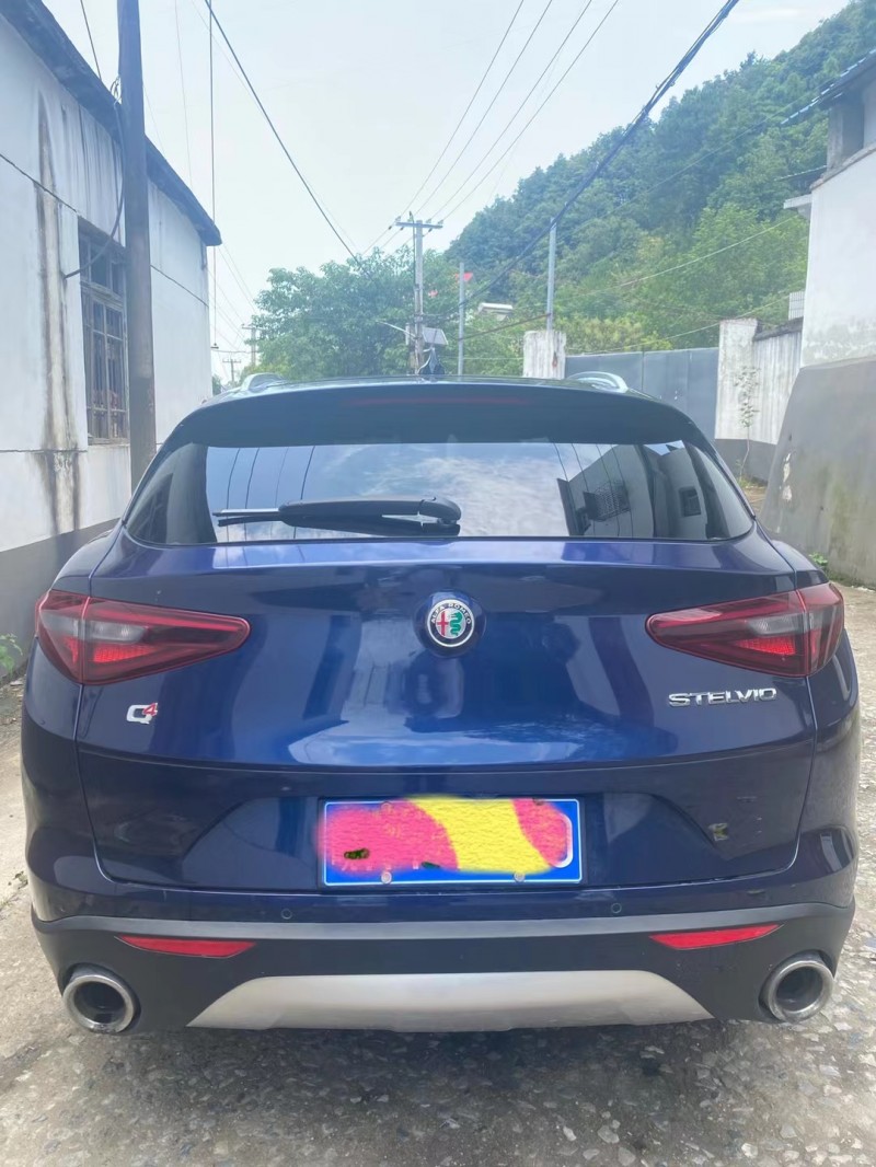 景德鎮18年阿爾法·羅密歐Stelvio9
