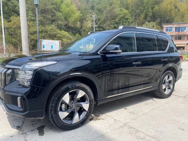 溫州20年傳祺GS87