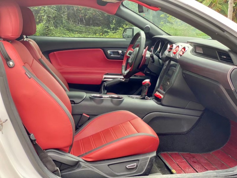 东莞16年福特野马9