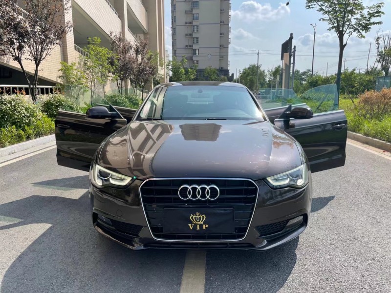 盐城14年奥迪A51