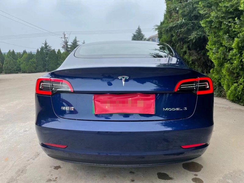 濟寧21年特斯拉MODEL 39