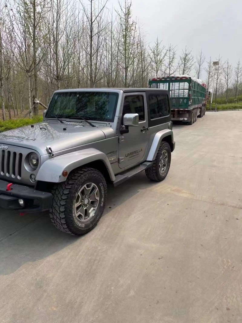 濟寧14年Jeep牧馬人2