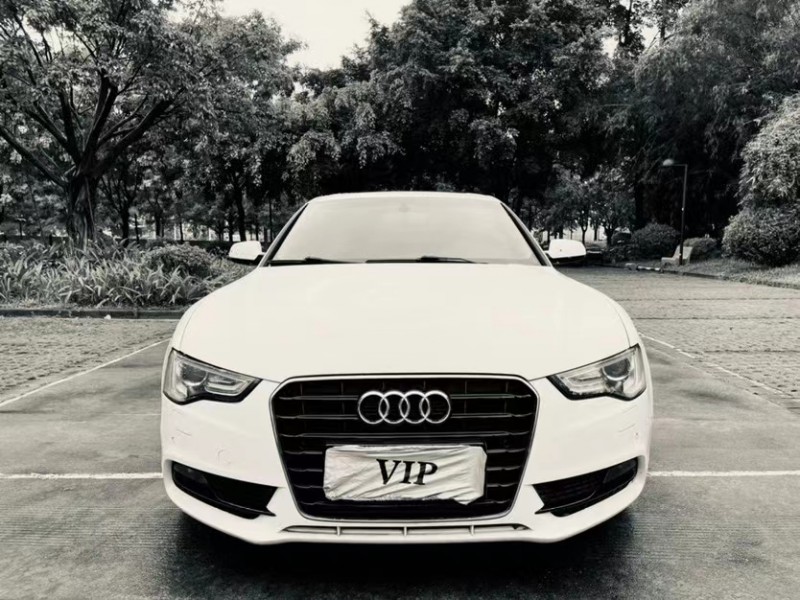 东莞15年奥迪A58